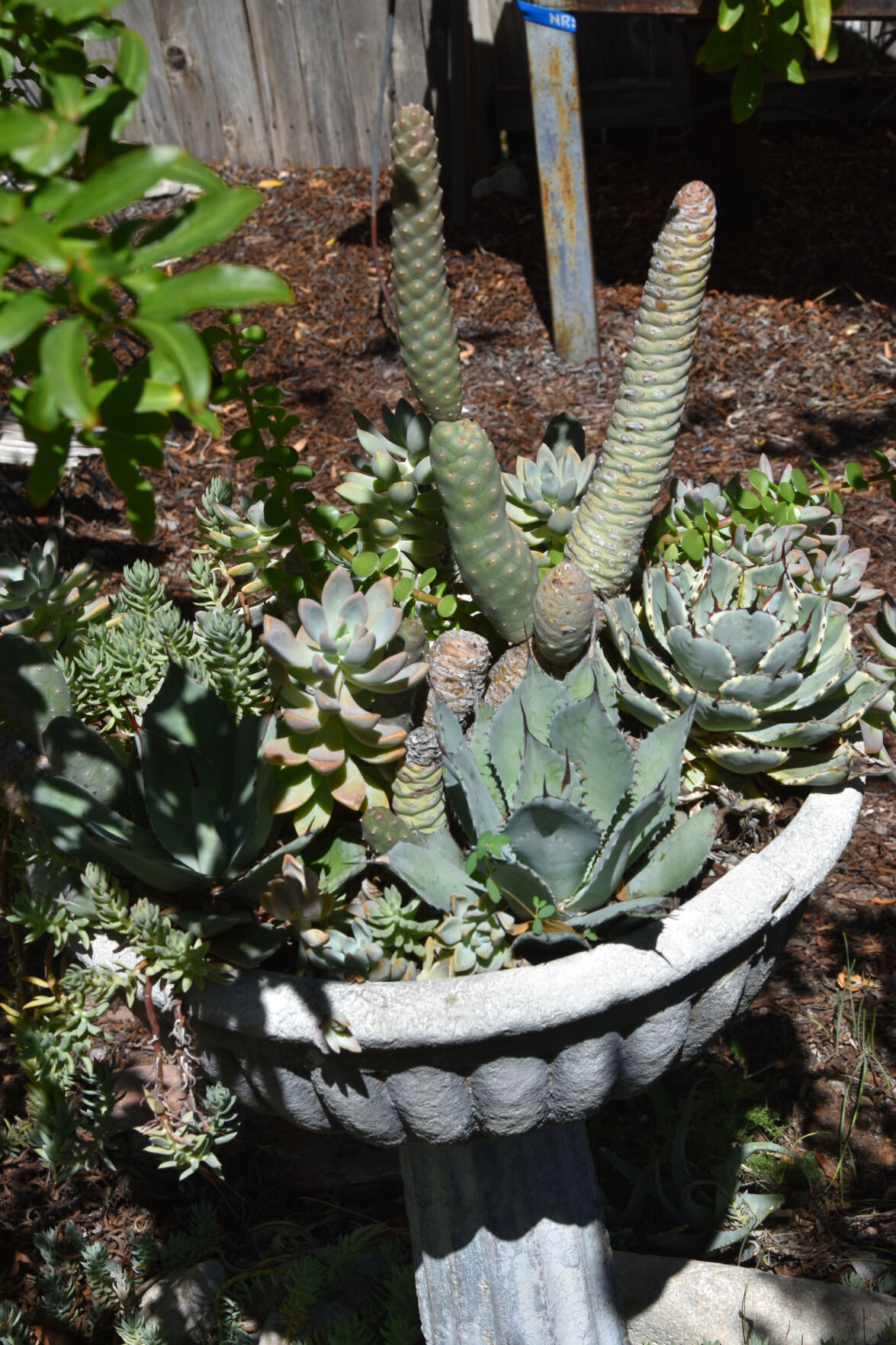 2023 Master Gardener Home Garden Show